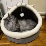 Cat Toys | Mouse Shape toys | Foldable Cat Toys । Cat & Dog Toys | ATOZBY photo review
