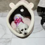 Pet Tent Cave Bed for Cats Small Dogs Self-Warming Cat Tent Bed Cat Hut Comfortable Pet Sleeping Bed Foldable Removable Washable photo review