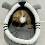 Pet Tent Cave Bed for Cats Small Dogs Self-Warming Cat Tent Bed Cat Hut Comfortable Pet Sleeping Bed Foldable Removable Washable photo review