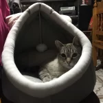 Pet Tent Cave Bed for Cats Small Dogs Self-Warming Cat Tent Bed Cat Hut Comfortable Pet Sleeping Bed Foldable Removable Washable photo review