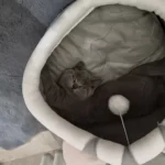 Pet Tent Cave Bed for Cats Small Dogs Self-Warming Cat Tent Bed Cat Hut Comfortable Pet Sleeping Bed Foldable Removable Washable photo review