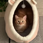 Pet Tent Cave Bed for Cats Small Dogs Self-Warming Cat Tent Bed Cat Hut Comfortable Pet Sleeping Bed Foldable Removable Washable photo review