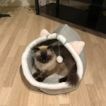 Pet Tent Cave Bed for Cats Small Dogs Self-Warming Cat Tent Bed Cat Hut Comfortable Pet Sleeping Bed Foldable Removable Washable photo review