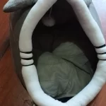 Cat Toys | Cute Octopus Plush । Cat & Dog Toys | ATOZBY photo review