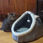 Pet Tent Cave Bed for Cats Small Dogs Self-Warming Cat Tent Bed Cat Hut Comfortable Pet Sleeping Bed Foldable Removable Washable photo review