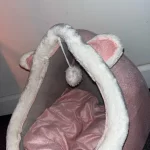 Pet Tent Cave Bed for Cats Small Dogs Self-Warming Cat Tent Bed Cat Hut Comfortable Pet Sleeping Bed Foldable Removable Washable photo review