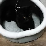 Pet Tent Cave Bed for Cats Small Dogs Self-Warming Cat Tent Bed Cat Hut Comfortable Pet Sleeping Bed Foldable Removable Washable photo review